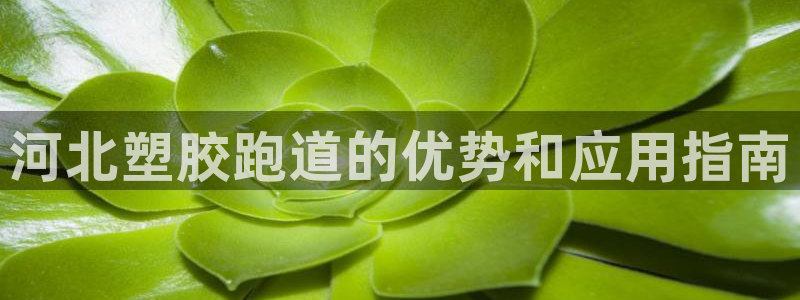 红足1世足球网址大全