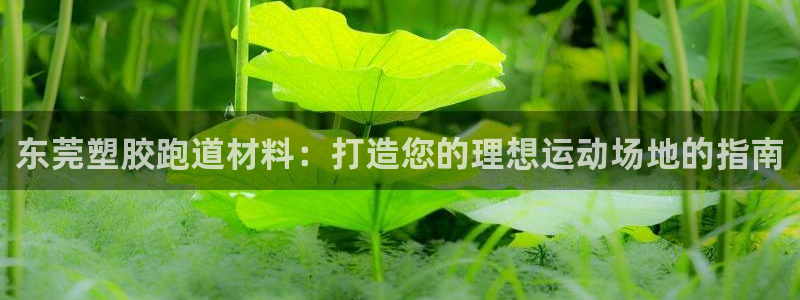 红足一1世66814新宝