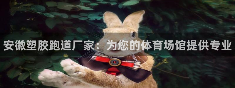 红足足球网