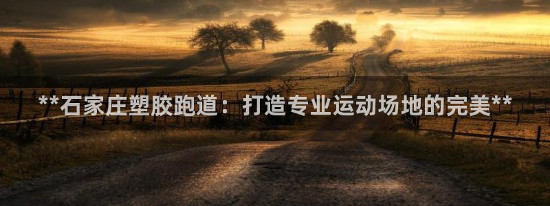 红足1世开奖预测：**石家庄塑胶跑道：打造专业运动场地的完美**