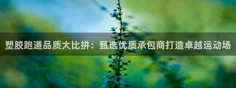 666814红·足一世比分