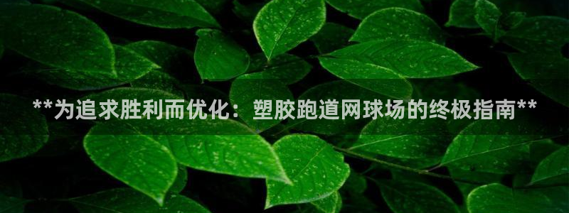 777814红·足一世比分：**为追求胜利而优化：塑胶跑道网球场的终极指南**