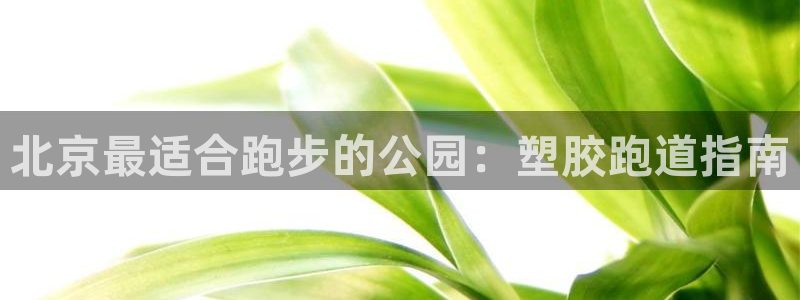 红足一1世比分：北京最适合跑步的公园：塑胶跑道指南