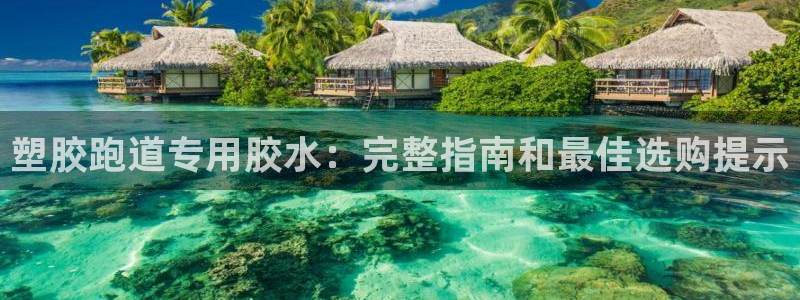 红足1世足球网址
