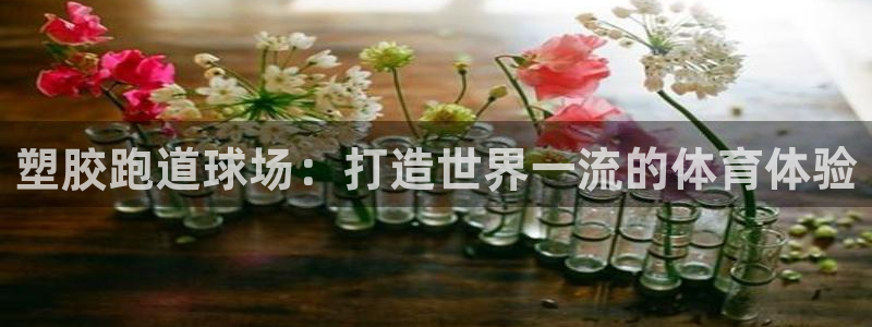 红足1世足球比分