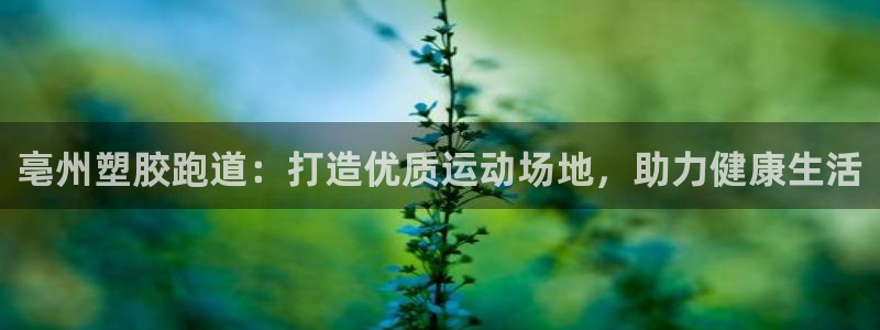 红足一球：亳州塑胶跑道：打造优质运动场地，助力健康生活