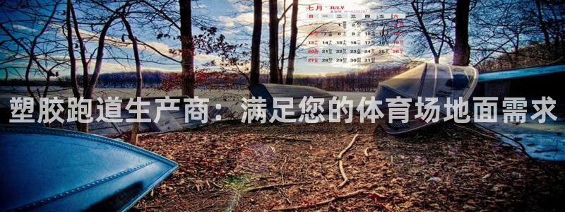 红足1世手机板：塑胶跑道生产商：满足您的体育场地面需求