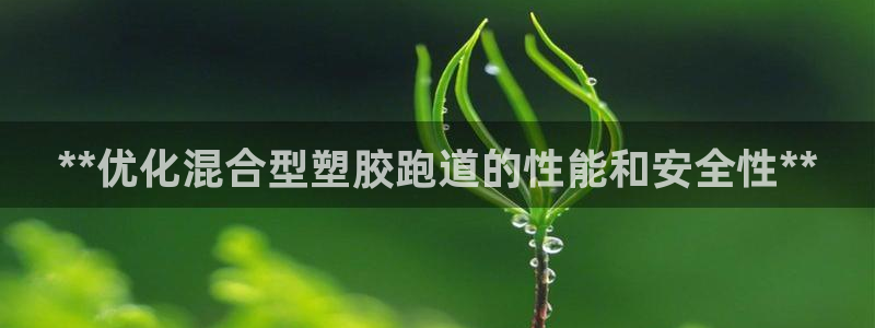 百度红足一1世：**优化混合型塑胶跑道的性能和安全性**