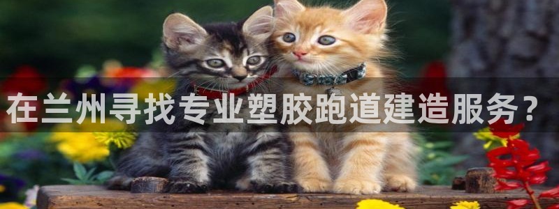 红足l一世开奖现场62ty：在兰州寻找专业塑胶跑道建造服务？