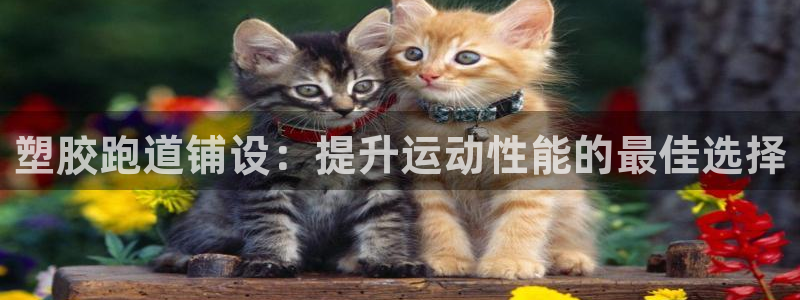 4633333开奖结果4176一点红：塑胶跑道铺设：提升运动性能的最佳选择