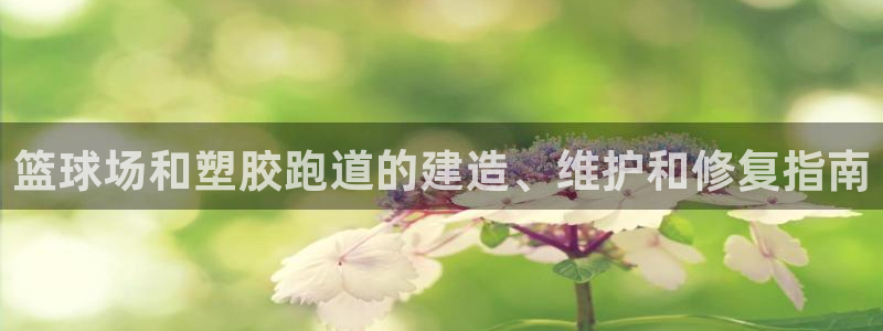 红足1世手足球比分：篮球场和塑胶跑道的建造、维护和修复指南