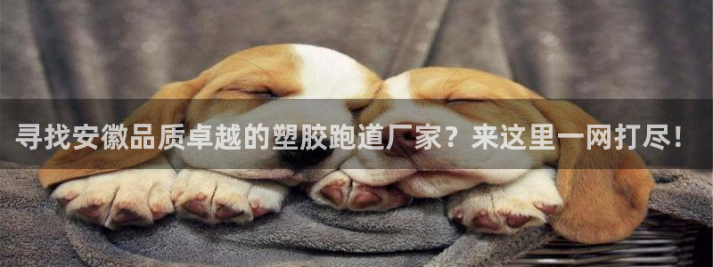 777814红·足一世比分：寻找安徽品质卓越的塑胶跑道厂家？来这里一网打尽！