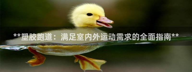 红足1世足球比分 localhost