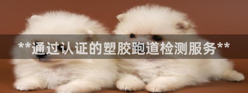百度红足一1视频在线观看