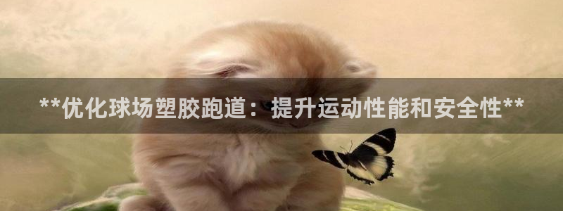 66814红足：**优化球场塑胶跑道：提升运动性能和安全性**