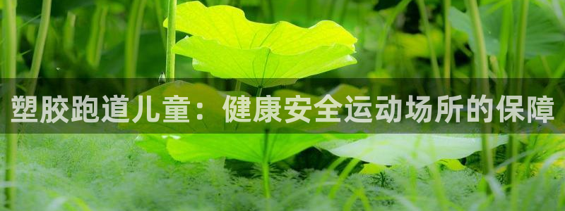 红足i世足球手机网：塑胶跑道儿童：健康安全运动场所的保障