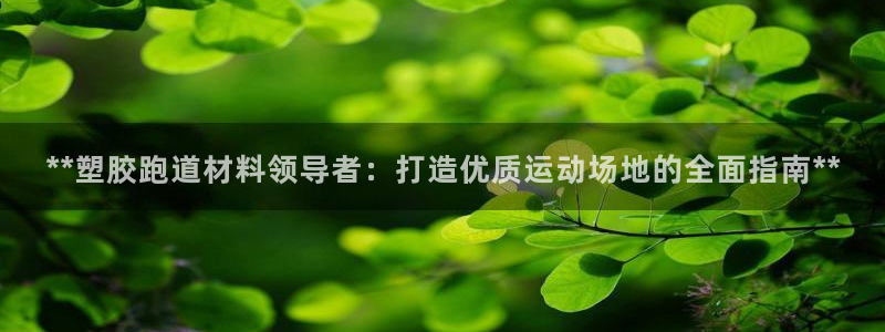 红足1一世足球手机：**塑胶跑道材料领导者：打造优质运动场地的全面指南**