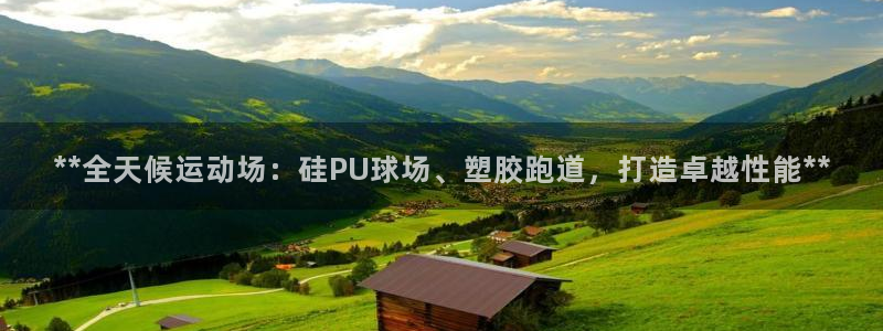 红足一比分网：**全天候运动场：硅PU球场、塑胶跑道，打造卓越性能**