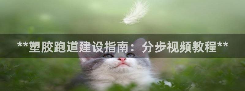 红足1一世足球手机：**塑胶跑道建设指南：分步视频教程**