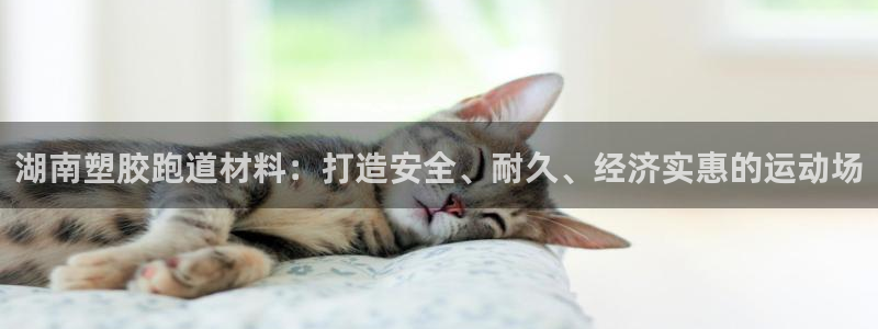 红足1一世开奖版：湖南塑胶跑道材料：打造安全、耐久、经济实惠的运动场