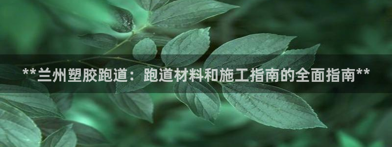 红足1一世红：**兰州塑胶跑道：跑道材料和施工指南的全面指南**