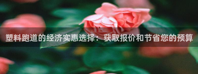 红足1世官网：塑料跑道的经济实惠选择：获取报价和节省您的预算