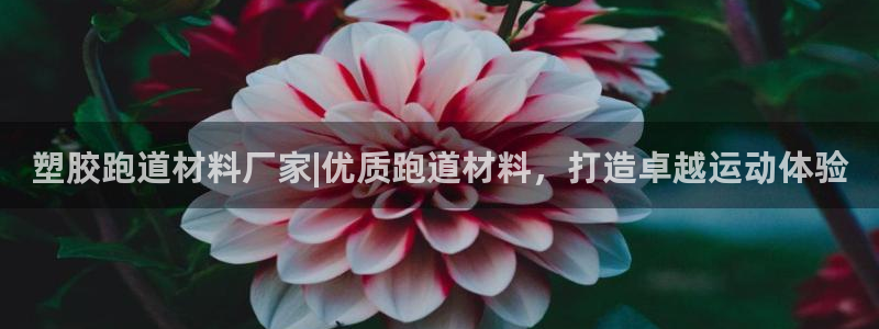 百度红足一1是为什么：塑胶跑道材料厂家|优质跑道材料，打造卓越运动体验