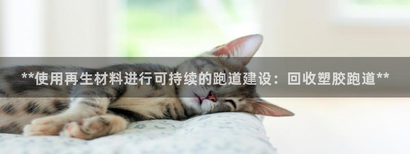 红足 世足球手机网：**使用再生材料进行可持续的跑道建设：回收塑胶跑道**