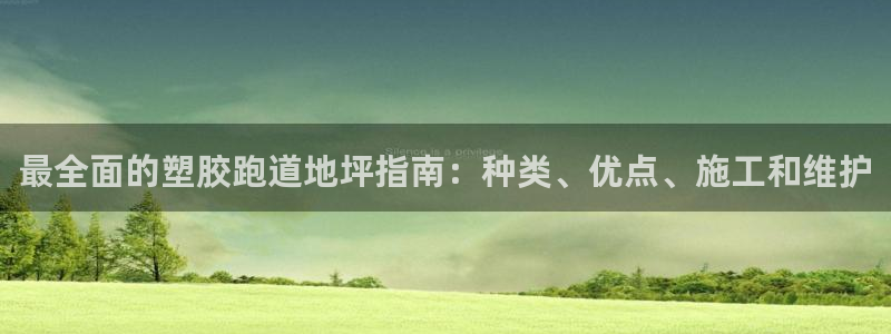 红足1一世 2站：最全面的塑胶跑道地坪指南：种类、优点、施工和维护
