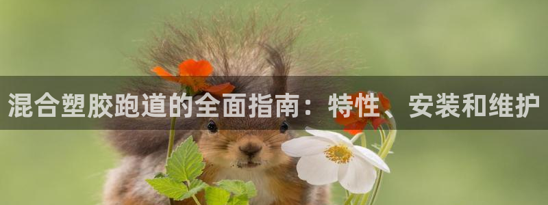 66814红足：混合塑胶跑道的全面指南：特性、安装和维护