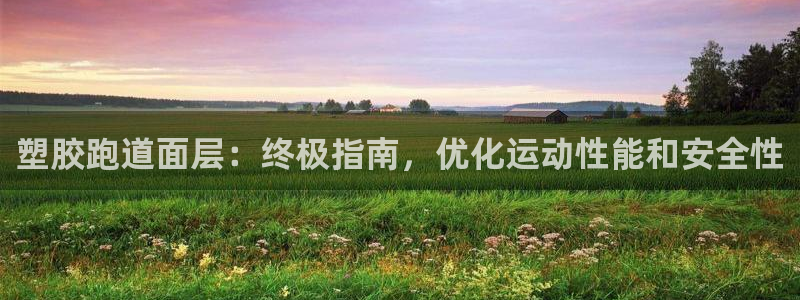 红足1世官网：塑胶跑道面层：终极指南，优化运动性能和安全性