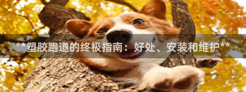百度红足一1是为什么