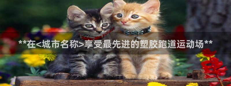 红足一1世平台：**在<城市名称>享受最先进的塑胶跑道运动场**