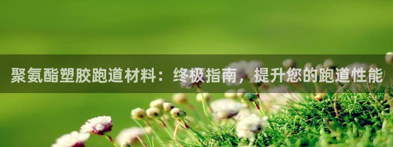 红足一1世666814最新结果：聚氨酯塑胶跑道材料：终极指南，提升您的跑道性能