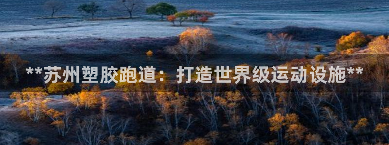 77814红足1世：**苏州塑胶跑道：打造世界级运动设施**