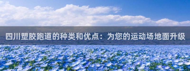 红足1一世：四川塑胶跑道的种类和优点：为您的运动场地面升级