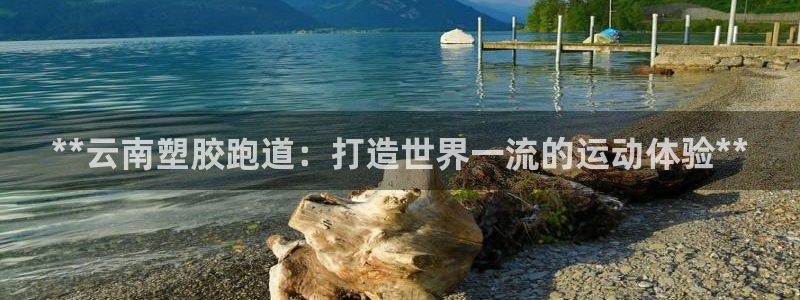 红足1一世红：**云南塑胶跑道：打造世界一流的运动体验**