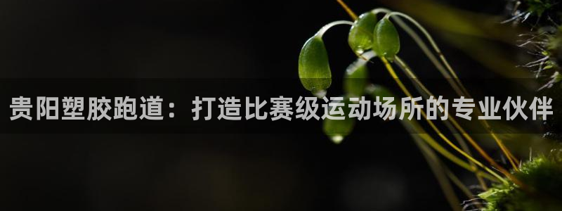 百度红足一1是什么样子的：贵阳塑胶跑道：打造比赛级运动场所的专业伙伴