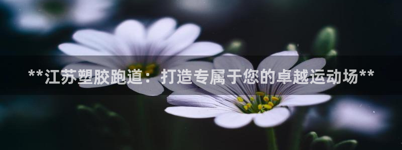 红足一1世666814最新结果：**江苏塑胶跑道：打造专属于您的卓越运动场**