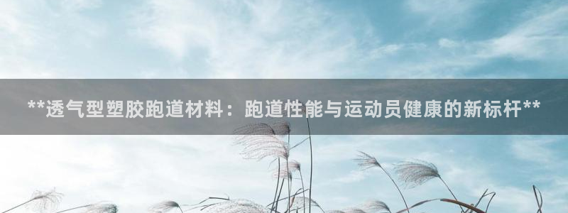 红足一1世：**透气型塑胶跑道材料：跑道性能与运动员健康的新标杆**