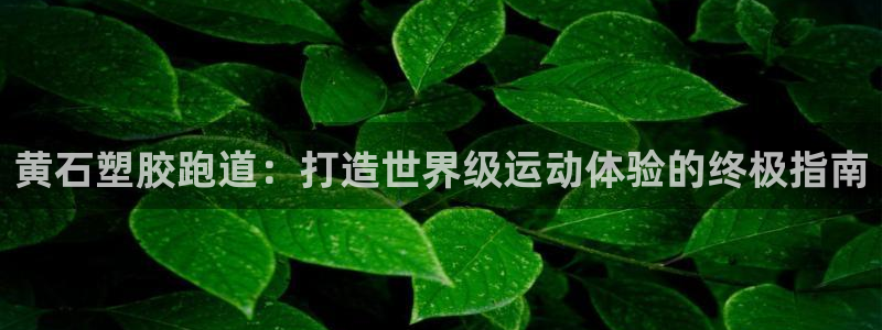 66814红足：黄石塑胶跑道：打造世界级运动体验的终极指南