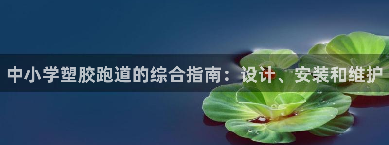 红足一1世皇冠地址：中小学塑胶跑道的综合指南：设计、安装和维护