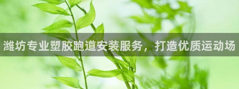 红足一1世比分：潍坊专业塑胶跑道安装服务，打造优质运动场