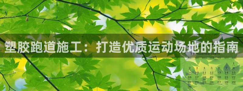 红足i世足球手机网：塑胶跑道施工：打造优质运动场地的指南
