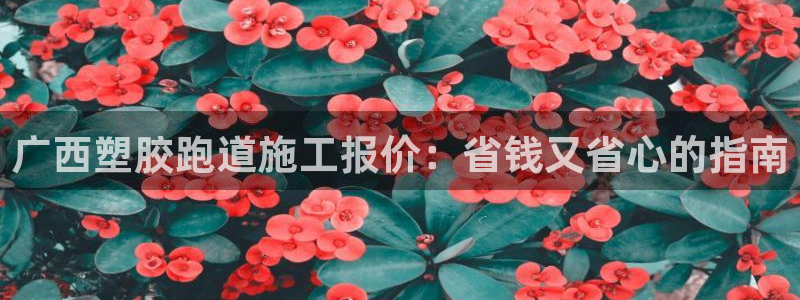 百度红足一1是为什么：广西塑胶跑道施工报价：省钱又省心的指南