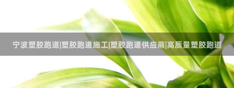 红足 世足球手机网：宁波塑胶跑道|塑胶跑道施工|塑胶跑道供应商|高质量塑胶跑道