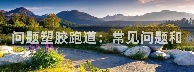 66814红足：问题塑胶跑道：常见问题和