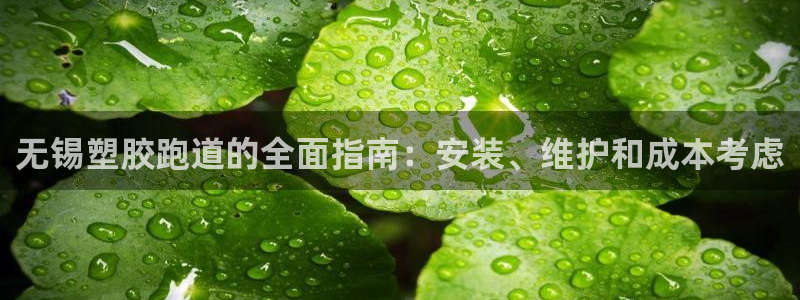 红足1世开奖预测：无锡塑胶跑道的全面指南：安装、维护和成本考虑