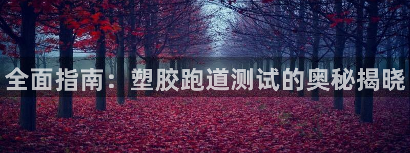 红足1一世开奖版：全面指南：塑胶跑道测试的奥秘揭晓