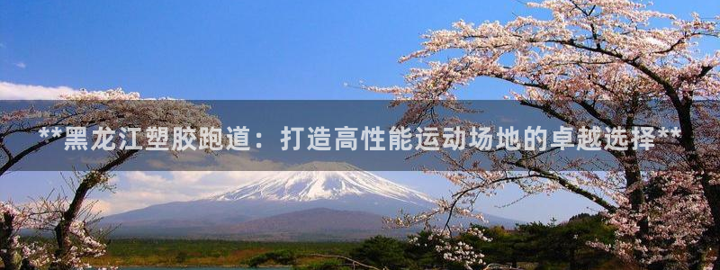 红足一1世666814足球比分网：**黑龙江塑胶跑道：打造高性能运动场地的卓越选择**